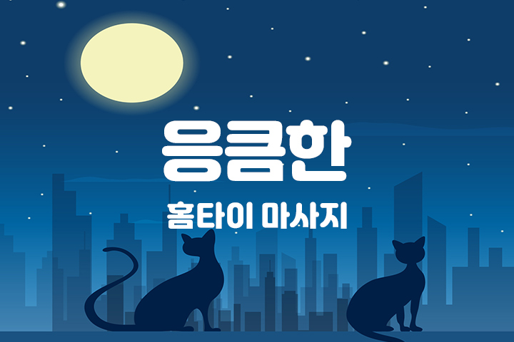 서울,경기 홈케어 [응큼한] 홈타이 출장마사지 대표 이미지