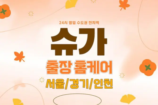 수원 홈케어 [슈가] 24시 출장홈케어 대표 이미지