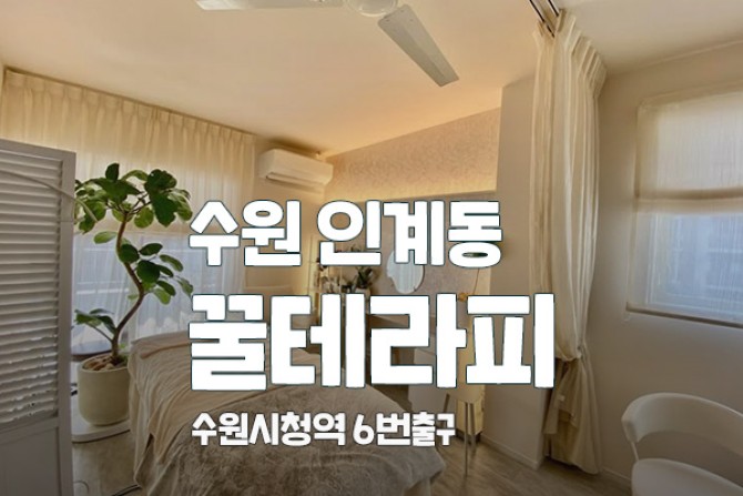 수원인계동-꿀테라피