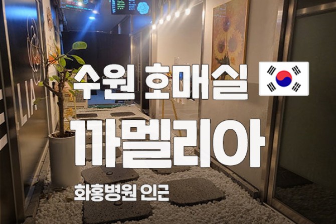 수원호매실-까멜리아