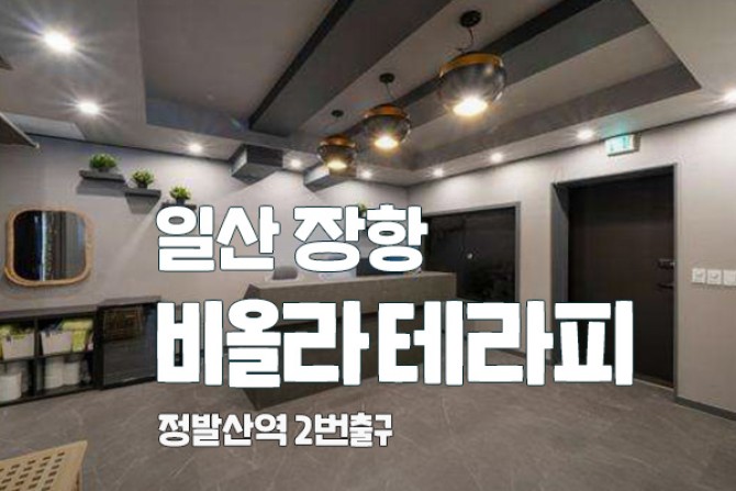 일산-비올라테라피