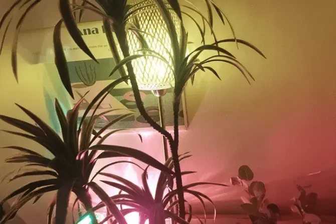 강남 선릉역 1인샵 애용뽀용 매장사진