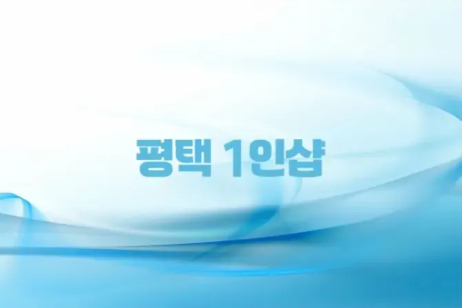 평택 1인샵 러시아 스웨디시 매장 사진